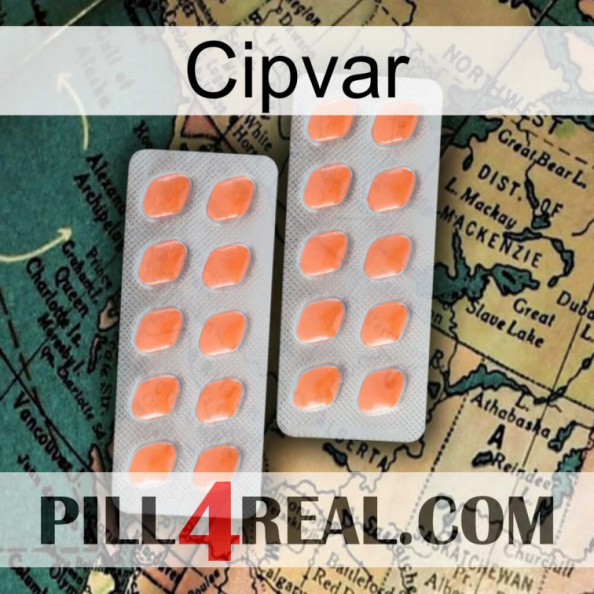 Cipvar 27.jpg